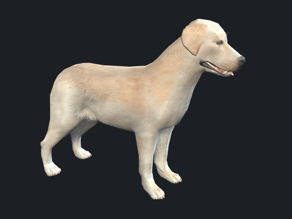 Free Labrador Dog Game Model